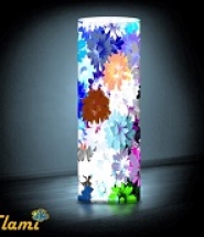 Краски Цветов F. 