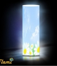 Ромашки в небе F. 